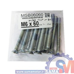 پیچ سرخزینه/ تخت چهار سو M6 طول 60mm بسته 10 عددی