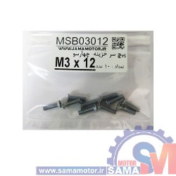 پیچ سرخزینه/ تخت چهار سو M3 طول 12mm بسته 10 عددی