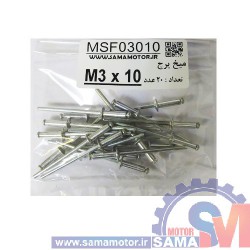 میخ پرچ M3*10 بسته 20 عددی